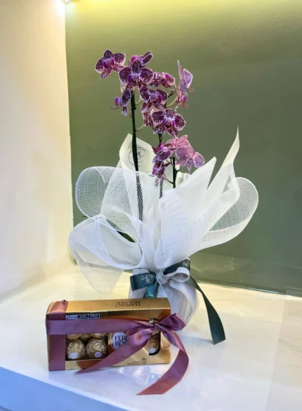 Mini-orquídea e chocolate