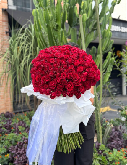 Buquê Absoluto Allure